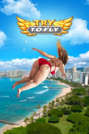 Capa de Try to Fly