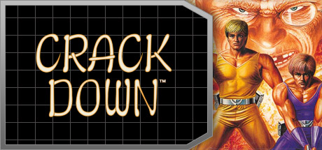 Capa de Crack Down